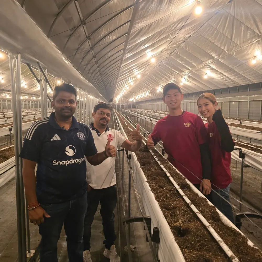 With the Ichigo Lab team inside a strawberry growing house