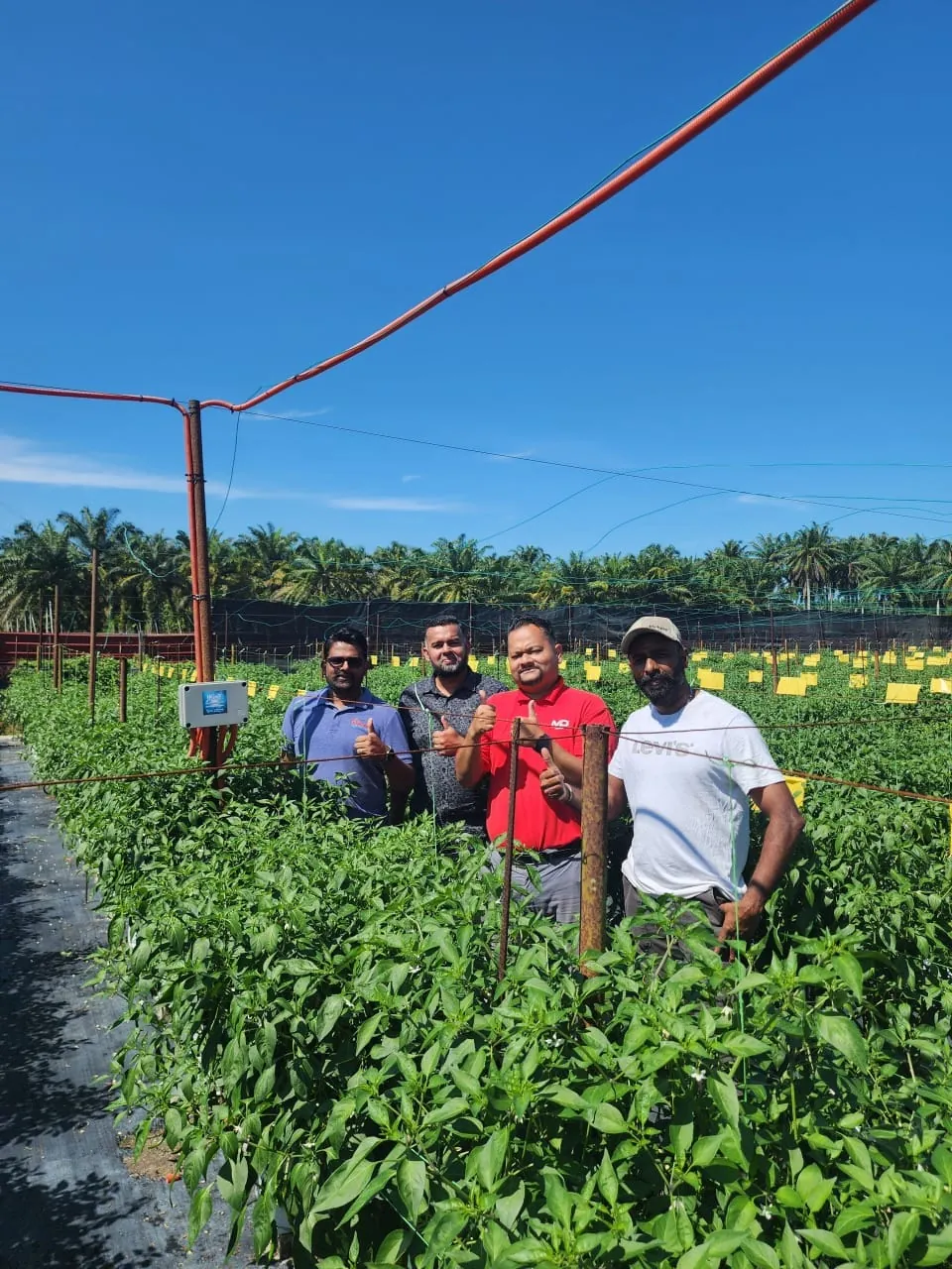 A group standing in a chilli field beside a monitoring post