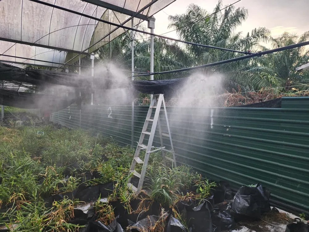 Misting nozzles spraying over seedlings in a netted nursery