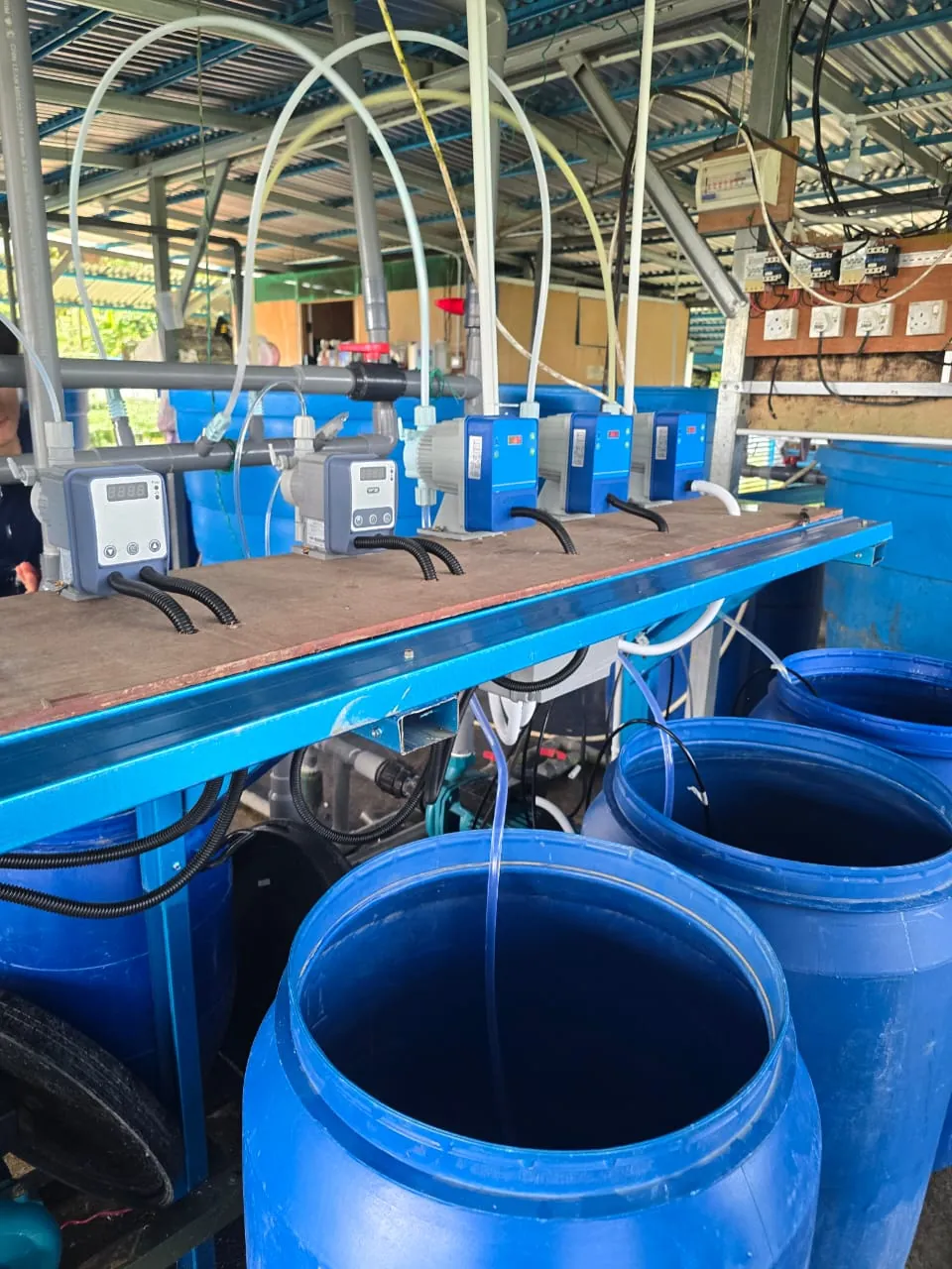 Fertigation tanks and dosing lines beside a JPIoT controller