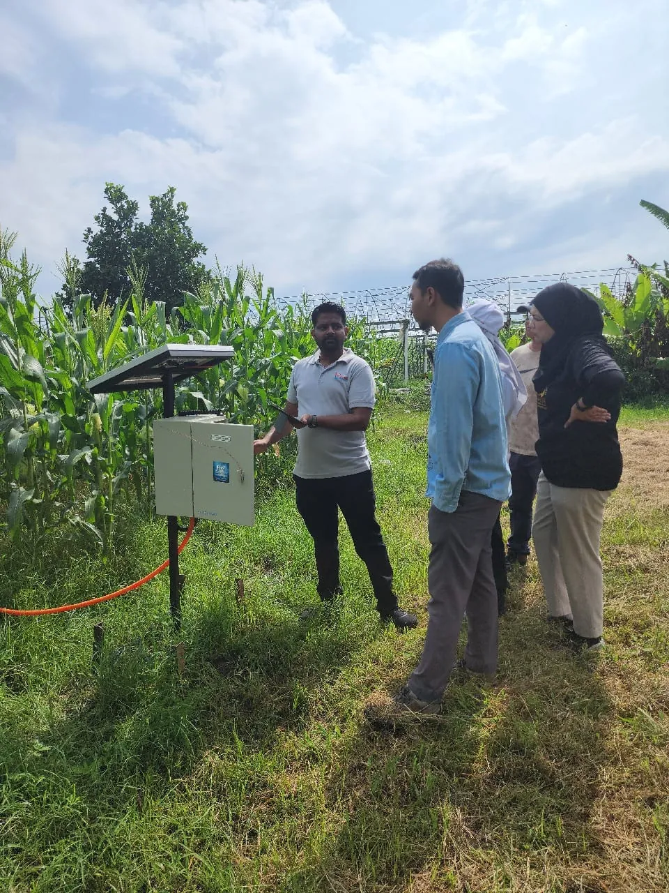 A site visit beside a JPIoT field station in a maize plot