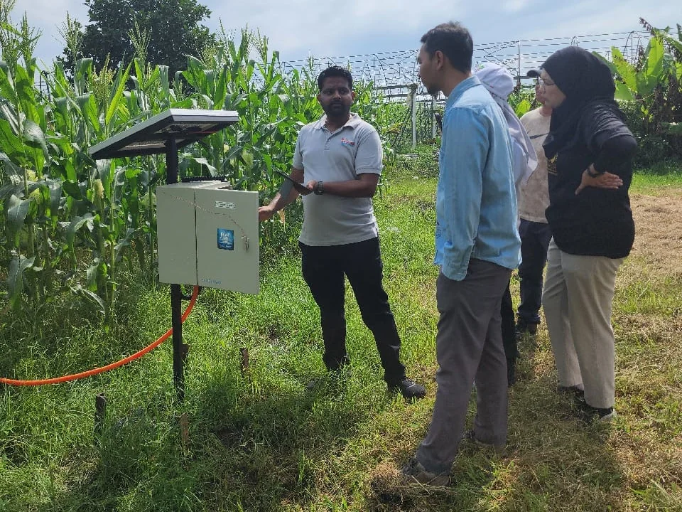 A team member points to a solar-powered field station while four visitors look on, at the edge of a maize plot