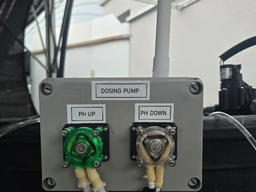 A dosing pump box labelled pH UP and pH DOWN mounted above a tank at an installation