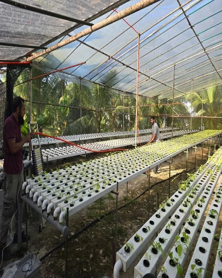 Rows of hydroponic growing channels inside a daylit protected structure
