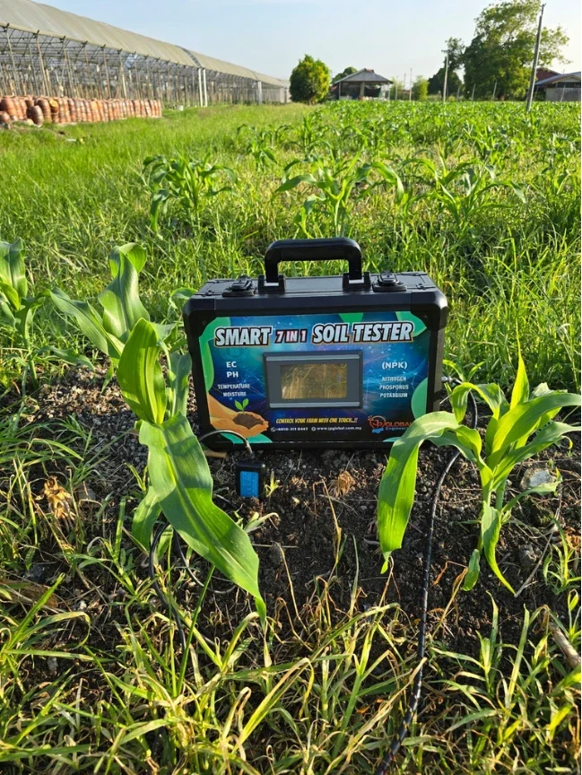 The Smart 7-in-1 Soil Tester standing on bare soil between young maize plants, its probe pushed into the soil in front of the case
