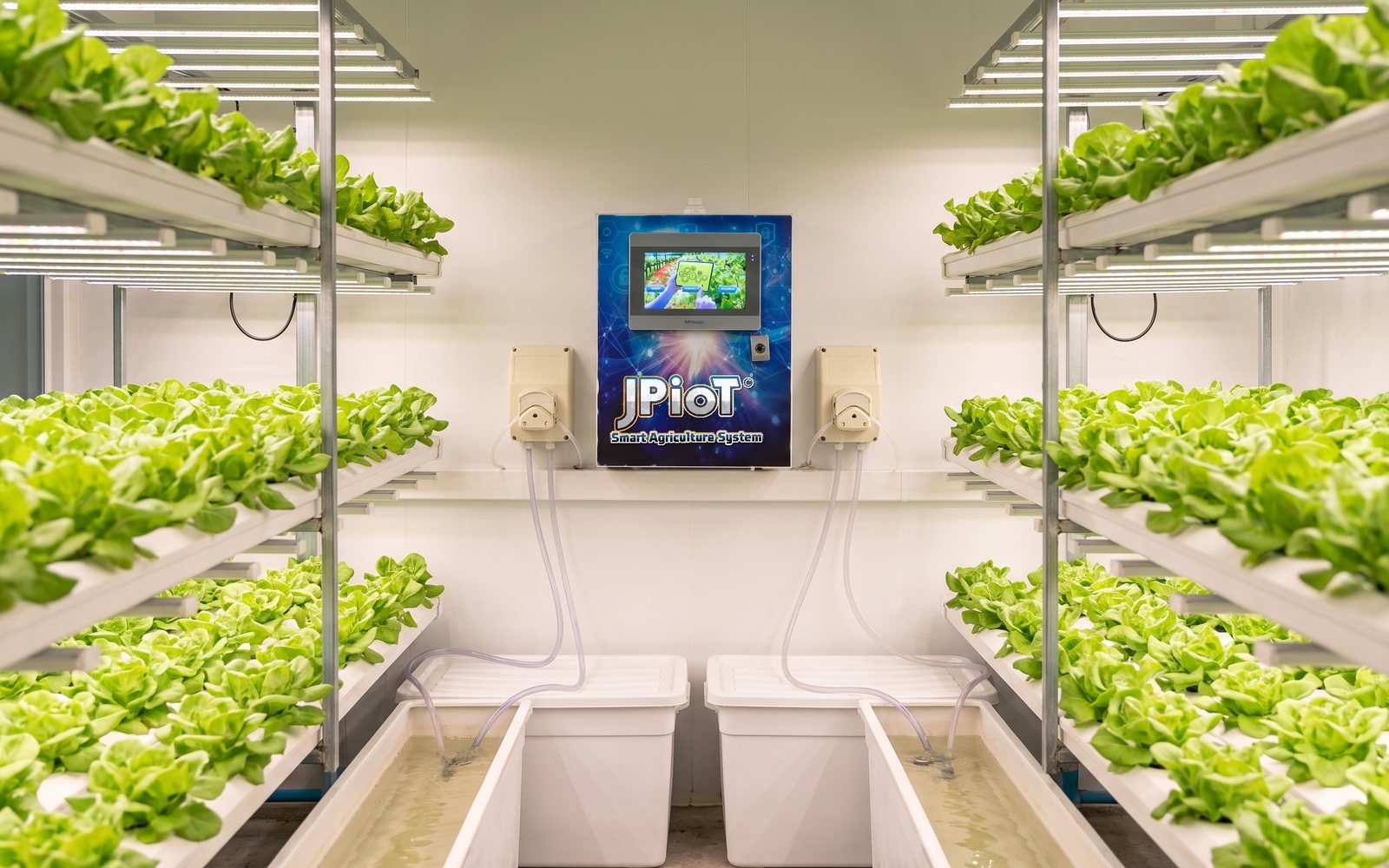 Hydroponic System