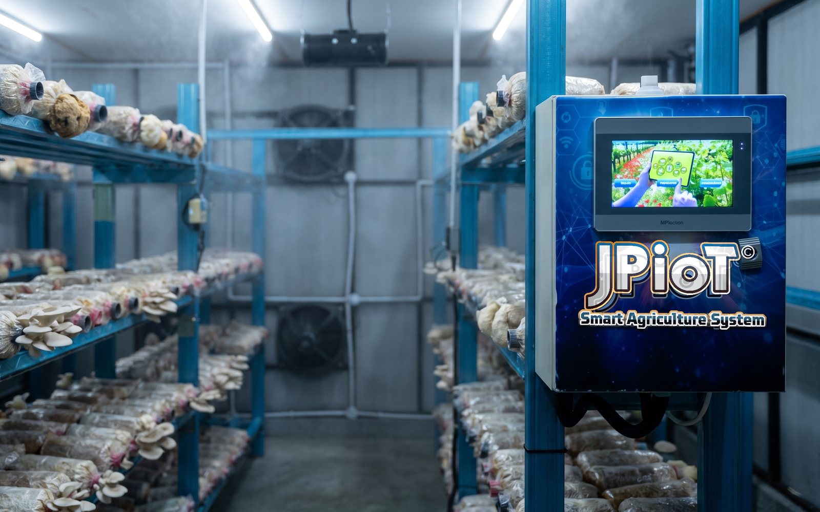 Mushroom Cultivation